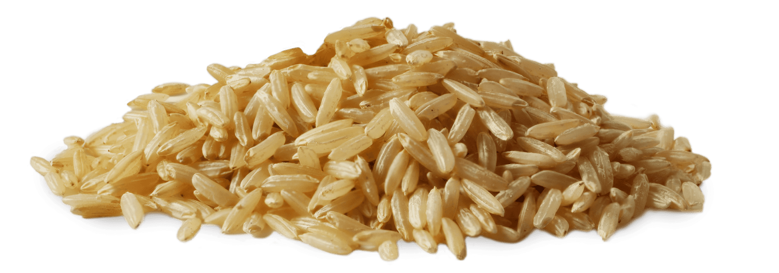 Ingredient #3