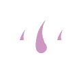 icon-1