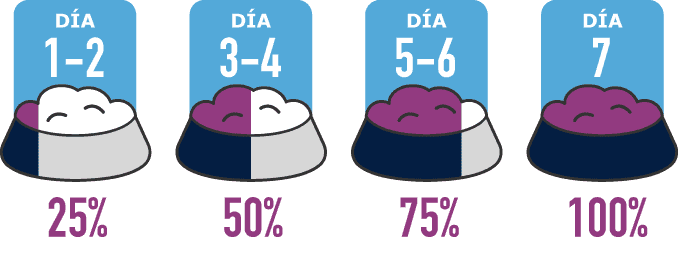 Transicion