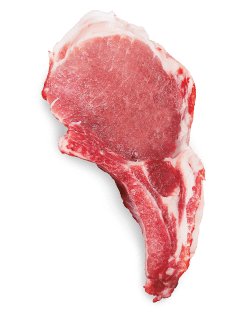 Alimento-[object Object]