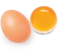 Alimento-[object Object]