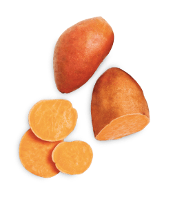 Alimento-[object Object]