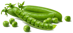 Ingredient #5