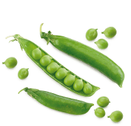 Alimento-[object Object]